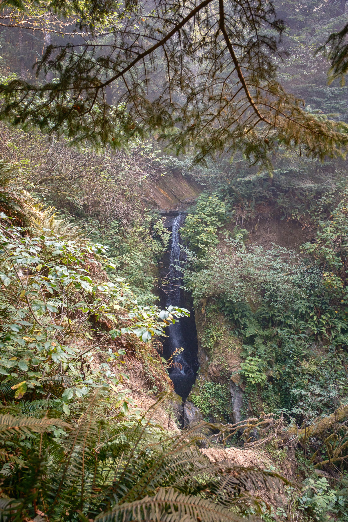 Pacific Northwest Road Trip photo titled Pacific Coast 24